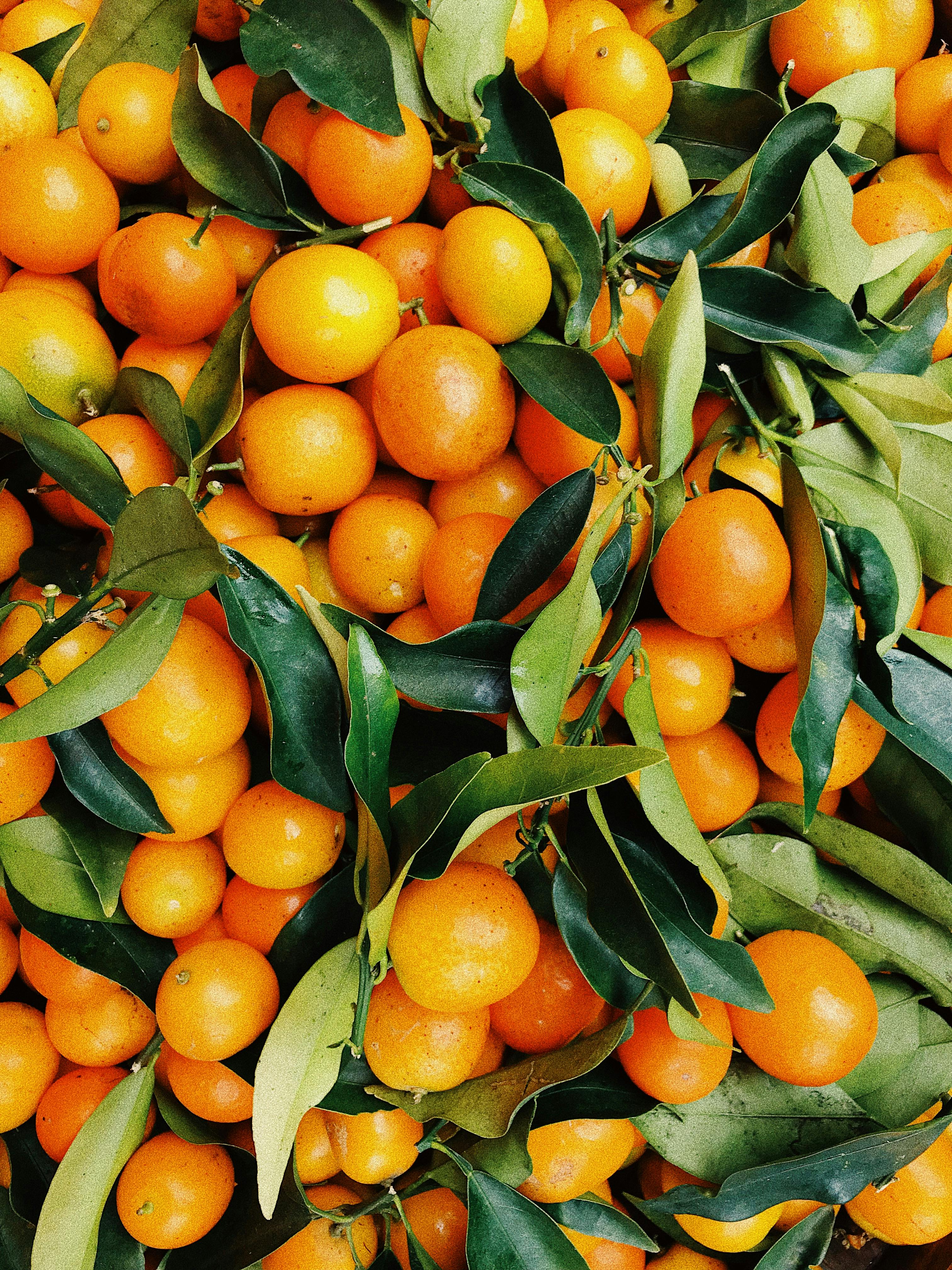Senner Fresh Your locally-sourced produce distributor